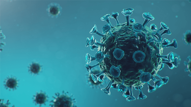 The Renin–Angiotensin–Aldosterone System and Coronavirus Disease 2019