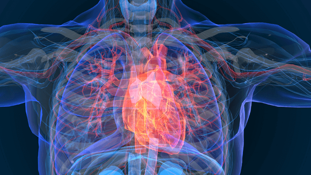 Diagnosing Heart Failure – Experience and ‘Best Pathways’