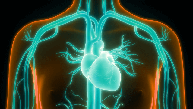 Anticoagulation Strategy in Atrial Fibrillation Cardioversion