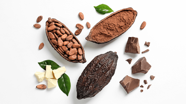 Cocoa Flavonols and Cardiovascular Risk