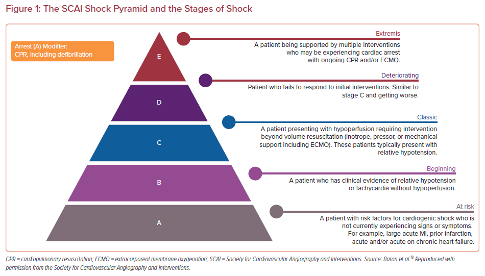 Stages Of Shock | Shock Stages | SCAI Shock Pyramid | Radcliffe Vascular