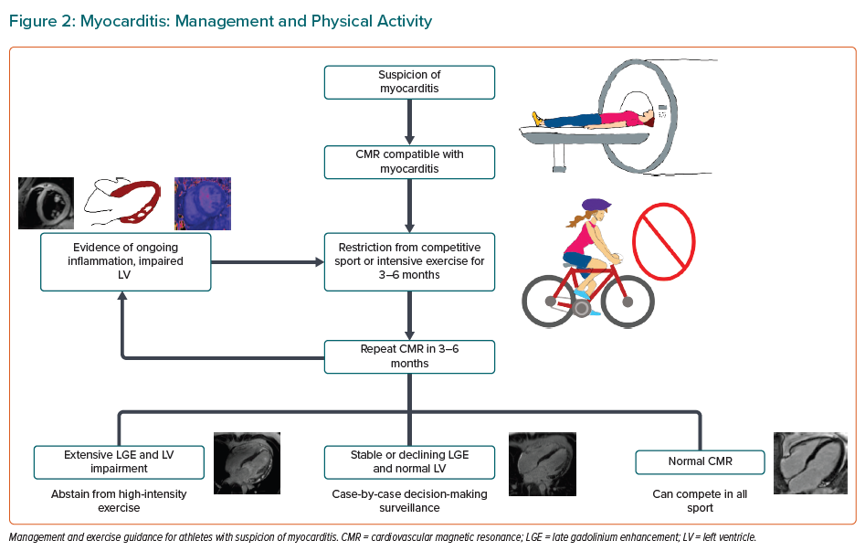 The Female Athlete’s Heart: Overview And Management Of Cardiovascular ...