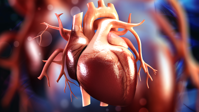 Dilemmas in the Dosing of HFrEF Drugs: Titrating Diuretics in Chronic Heart