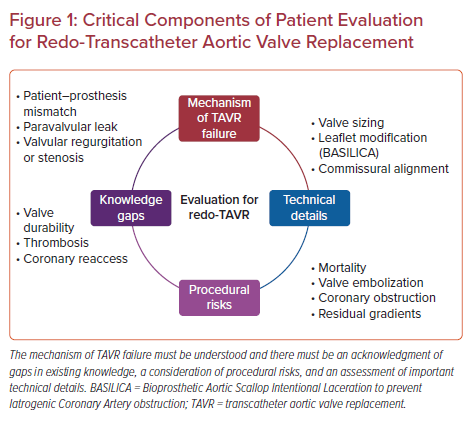 Critical Components Of Patient Evaluation For Redo Transcatheter Aortic   Figure1 Critical Components Of Pataient 