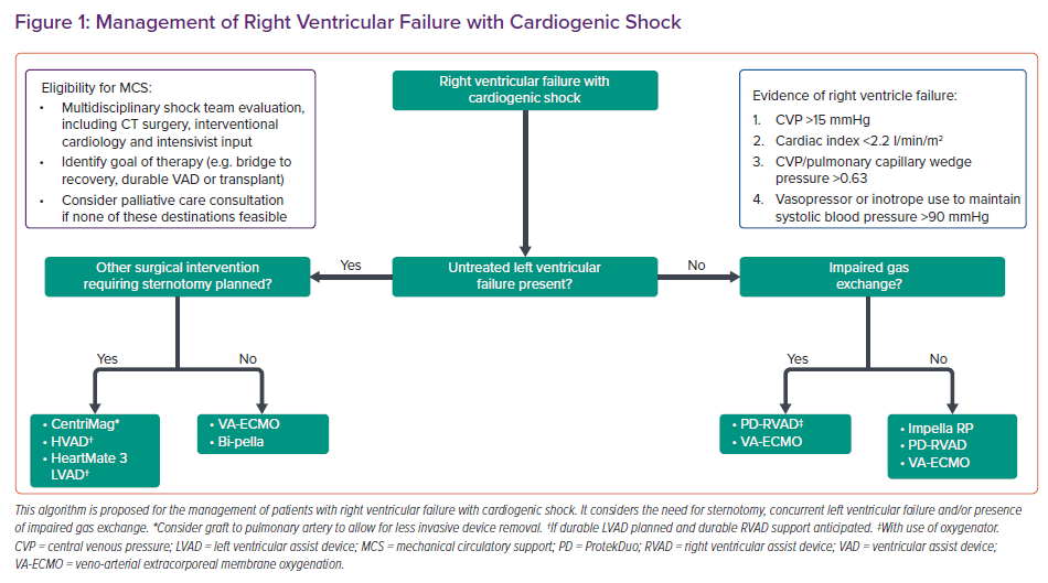 Mechanical Circulatory Support For Right Ventricular Failure | CFR Journal