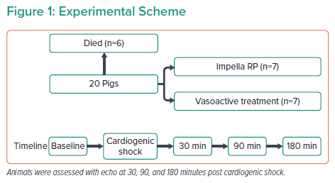 Experimental Scheme | Radcliffe Cardiology