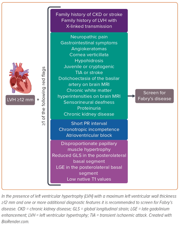 Figure 1: When To Suspect And Screen For Fabry’s Disease | Radcliffe ...