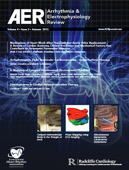 AER - Volume 4 Issue 2 Autumn 2015
