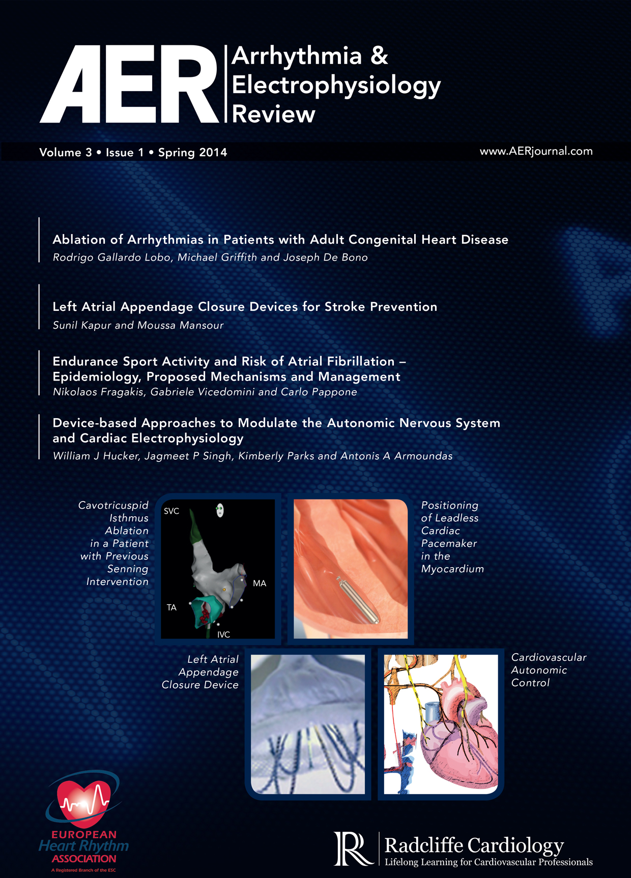 AER  - Volume 3 Issue 1 Spring 2014