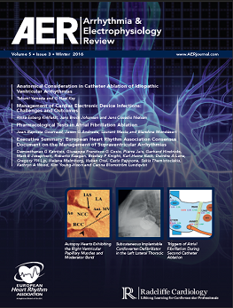 AER - Volume 5 Issue 3 Winter 2016