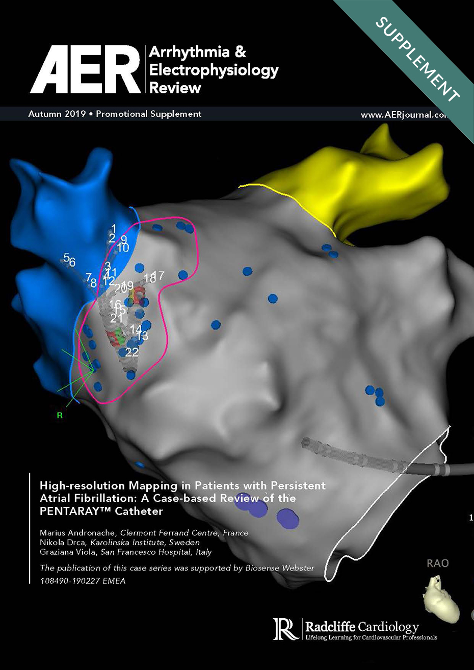 High-Resolution Mapping In Patients With Persistent Atrial Fibrillation: A Case-Based Review Of The PENTARAY™ Catheter