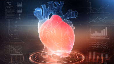 Bridging the Gap Between Artificial Intelligence Research and Clinical Practice in Cardiovascular Science: What the Clinician Needs to Know