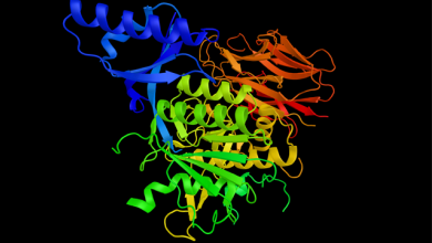 PCSK9 Inhibition: The Big Step Forward in Lipid Control