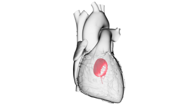 Transcatheter Therapies for FMR