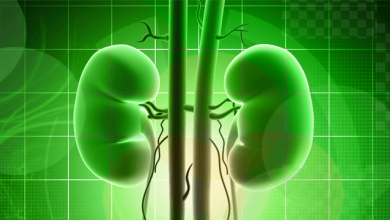 Semaglutide May Protect Kidney Function in Individuals with Overweight or Obesity and Cardiovascular Disease