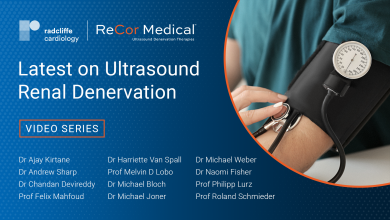 Latest on Ultrasound Renal Denervation