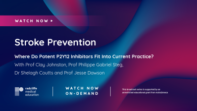 Where Do Potent P2Y12 Inhibitors Fit Into Current Practice? - Stroke Prevention