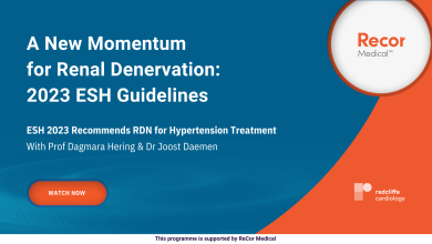 A New Momentum for Renal Denervation: 2023 ESH Guidelines