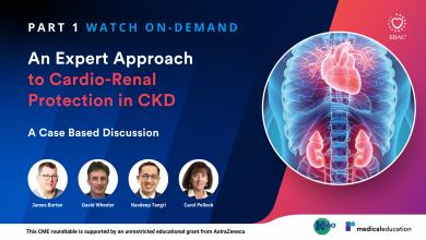 An Expert Approach to Cardio-Renal Protection in CKD: Part One