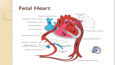 Pediatric Cardiac Lecture: Cardiac Disorders and Care