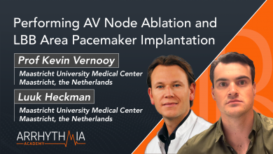 Performing AV Node Ablation and LBB Area Pacemaker Implantation