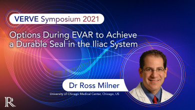 VERVE 2021: Options During EVAR to Achieve a Durable Seal in the Iliac System