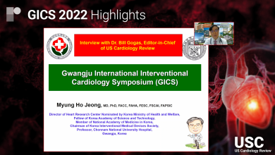 Highlights of the 20th Gwangju International Interventional Cardiology Symposium