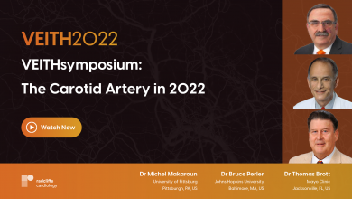 VEITHsymposium: The Carotid Artery in 2022 with Dr Makaroun, Dr Perler and Dr Brott