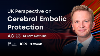 UK Perspective on Cerebral Embolic Protection