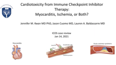 Cardiotoxicity from Immune Checkpoint Inhibitor Therapy