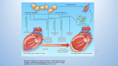 Allogeneic Mesenchymal Cell Therapy in Anthracycline-Induced Cardiomyopathy