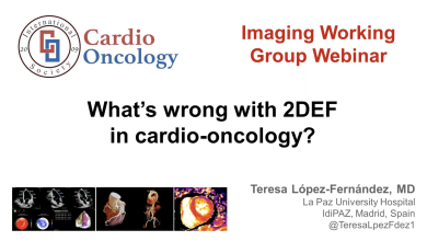 What's Wrong With 2DEF in Cardio-Oncology?