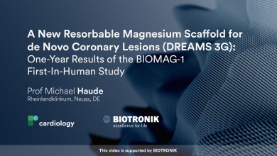 A New Resorbable Magnesium Scaffold for de Novo Coronary Lesions (DREAMS 3G): One-Year Results of the BIOMAG-1 First-In-Human Study