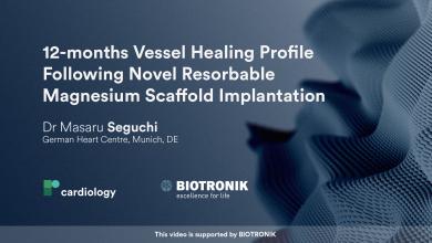 12-months Vessel Healing Profile Following Novel Resorbable Magnesium Scaffold Implantation: An Intravascular OCT Analysis of the BIOMAG-I Trial