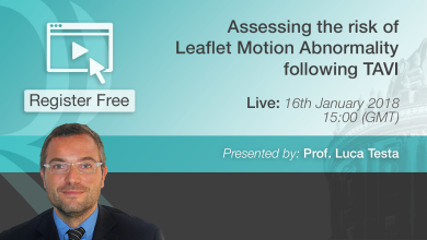Assessing the risk of Leaflet Motion Abnormality