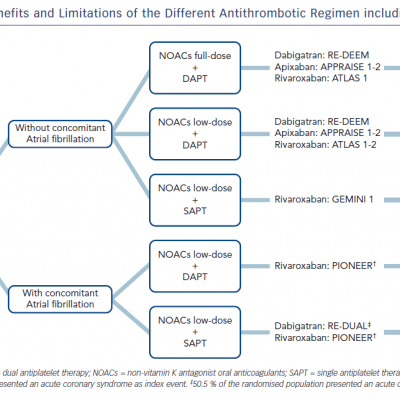 figure 1-summary-of-benefits-and-limitations