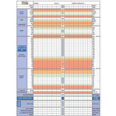 Figure 1 Example Observation Chart