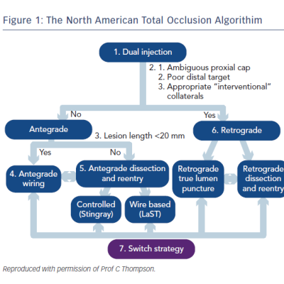 Figure 1 The North American Total Occlusion Algorithim