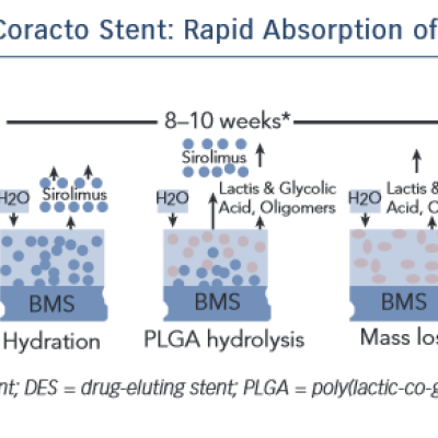 The Coracto Stent  Rapid Absorption of Polymer
