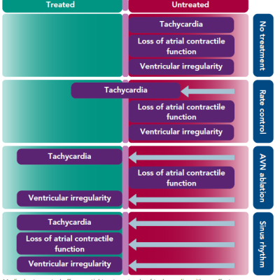 Comparison Of AF Treatment Strategies In Addressing The Drivers Of Heart Failure