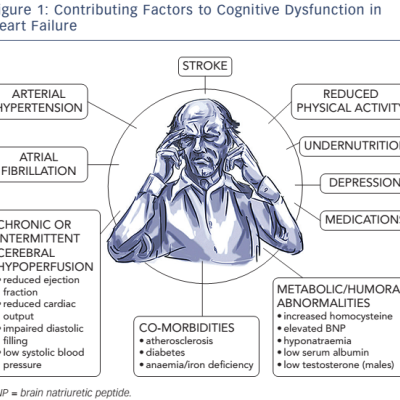 Figure-1-Contributing-Factors-to-cognitive-dysfunction-in-heart-failure