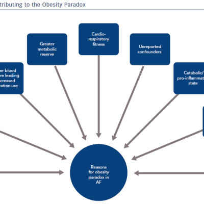 Factors Contributing To The Obesity Paradox