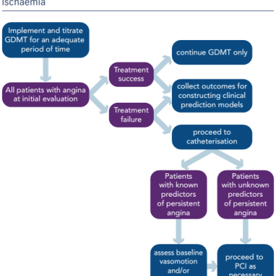Figure 1 Management Pathway of Angina Patients Including Strategies for Early Identification of Probable Persistent Ischaemia