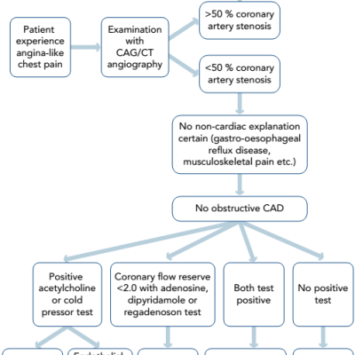 Figure 1 Overview of the Diagnostic Process for Coronary Microvascular Dysfunction