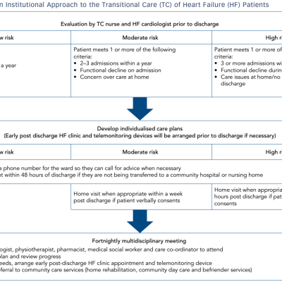 Figure-1-Singaporian-institutional-Approach-to-the-transitional-care