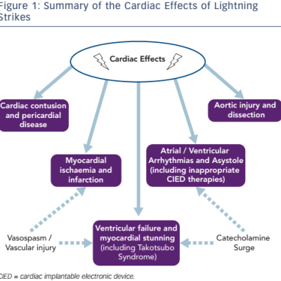 Summary of the Cardiac Effects of Lightning Strikes