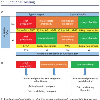 Figure 1 Triage of Patients with Chronic Chest Pain Syndrome According to Angina Symptoms and Presence of Epicardial Coronary Artery Disease or Reversible Ischaemia on Functional Testing
