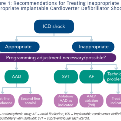 Figure 1 Recommendations For Treating Inappropriate And Appropriate Implantable Cardioverter Defibrillator Shocks