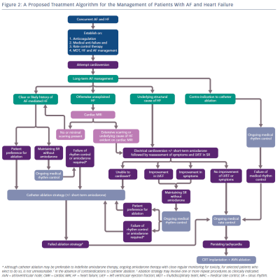 Figure 2 A Proposed Treatment Algorithm for the Management of Patients With AF and Heart Failure