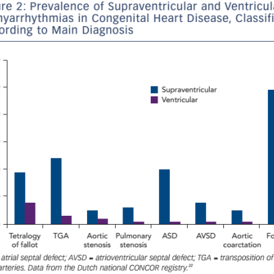 Figure 2 Prevalence Of Supraventricular And Ventricular Tachyarrhythmias In Congenital Heart Disease Classified According To Main Diagnosis